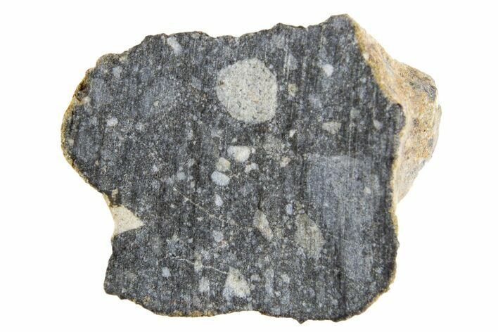 Polished Lunar Meteorite ( g) End Cut Slice - NWA #333170